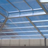 WhatsApp Image 2025-04-08 at 08.07.01